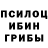 Галлюциногенные грибы GOLDEN TEACHER Renate Basova