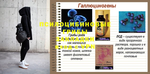 трава Абинск
