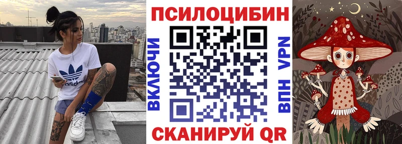 Псилоцибиновые грибы мицелий Камень-на-Оби