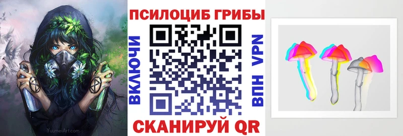 Псилоцибиновые грибы GOLDEN TEACHER что такое shop как зайти Камень-на-Оби