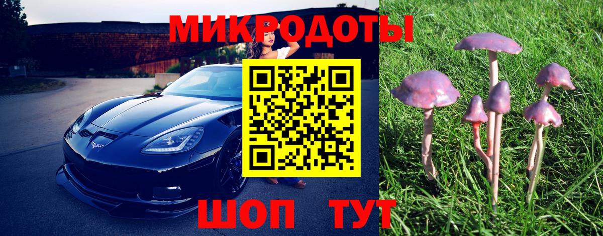 Псилоцибиновые грибы Psilocybine cubensis  Галлюциногенные грибы мухоморы  Вход с VPN  Камень-на-Оби 