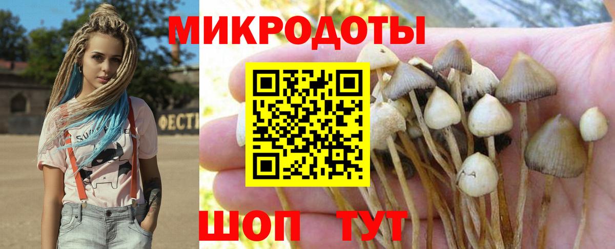 Псилоцибиновые грибы GOLDEN TEACHER Камень-на-Оби
